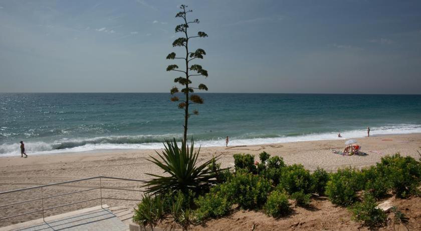 Apart. A-Dorada Miami Playa Apartment Luaran gambar